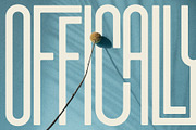 First Contact - 16 Fonts in One Pack, a Sans Serif Font by SilverStag Type Foundry (Thumbnail 20 of 30)