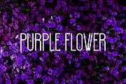 Elegant Summer - Font, a Sans Serif Font by artchiles_design (Thumbnail 3 of 5)