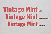 Vintage Mint | Family with 3 widths, a Sans Serif Font by Haus Type (Thumbnail 6 of 7)