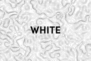 50 Vector Topographic Maps, a Texture Graphic by BenDesigner (Thumbnail 3 of 5)