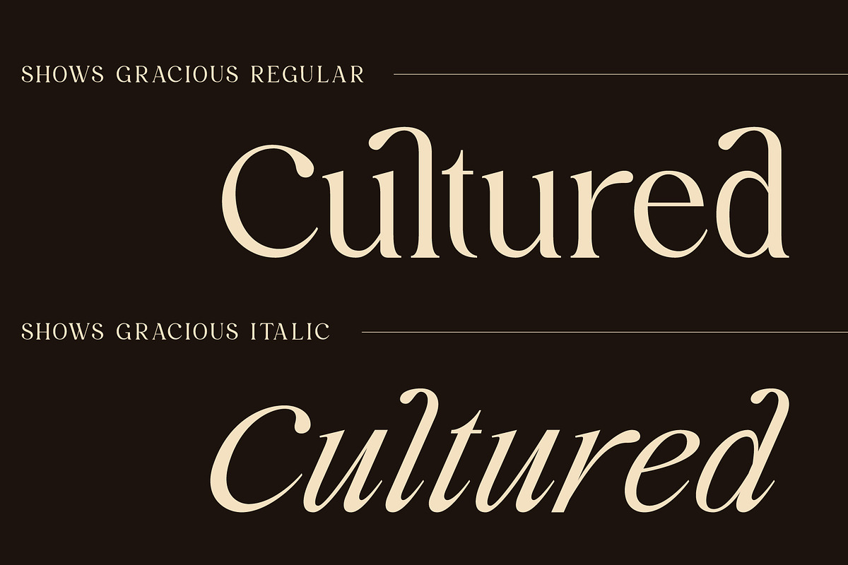 Shows Gracious | Regular + Italic, a Serif Font by roomspace creative lab (Photo 3 of 14)