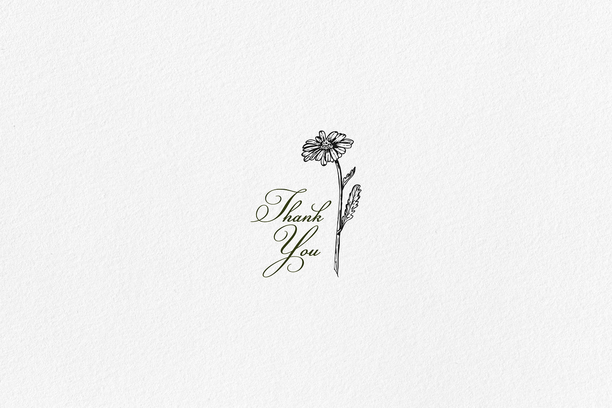 Daisy Line Art Sketch Clipart Set, a Decorative Illustration by LiiaLonn Studio (Photo 5 of 5)
