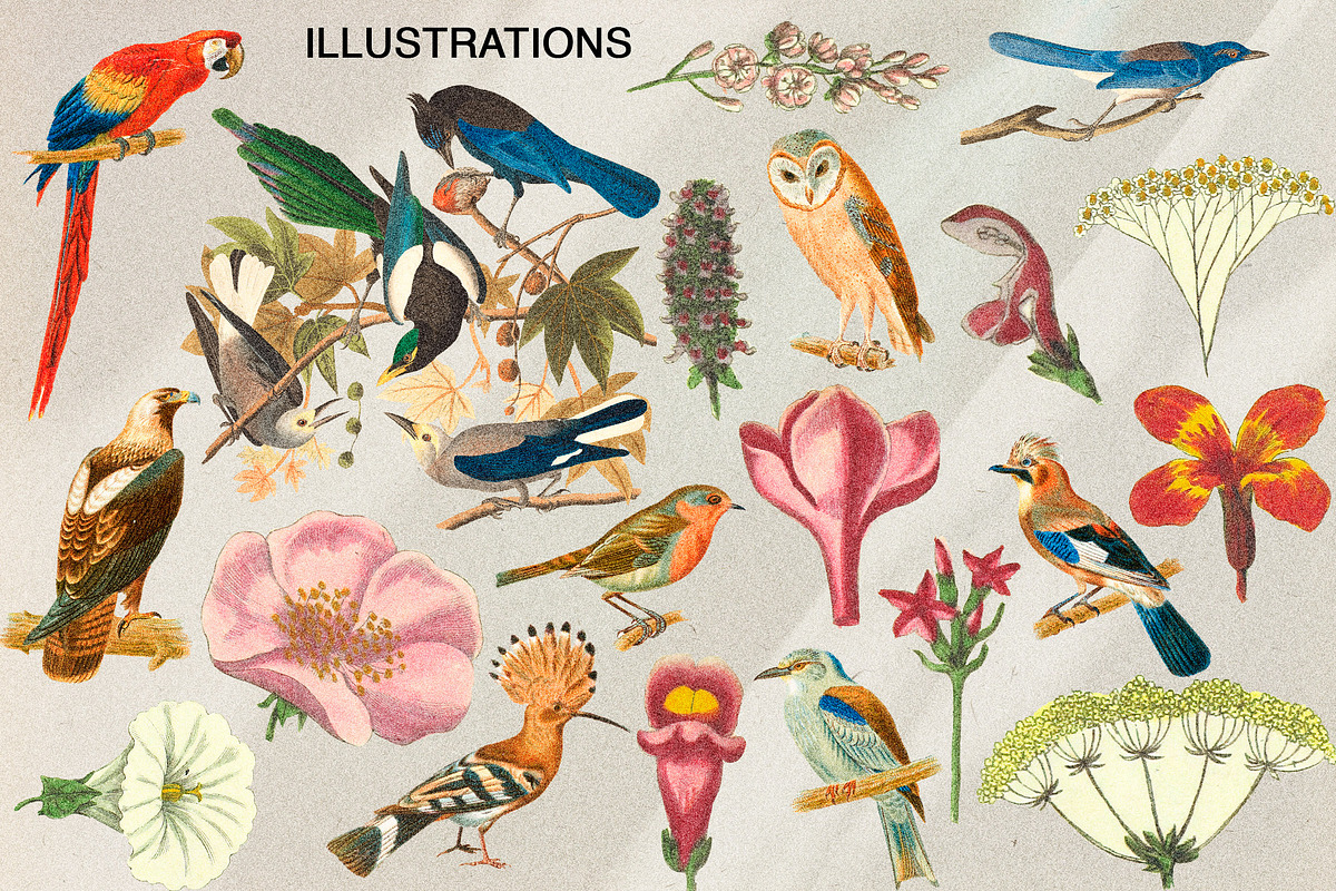 Сreative retro collages, an Object Graphic by Aleks.Flaks (Photo 16 of 18)