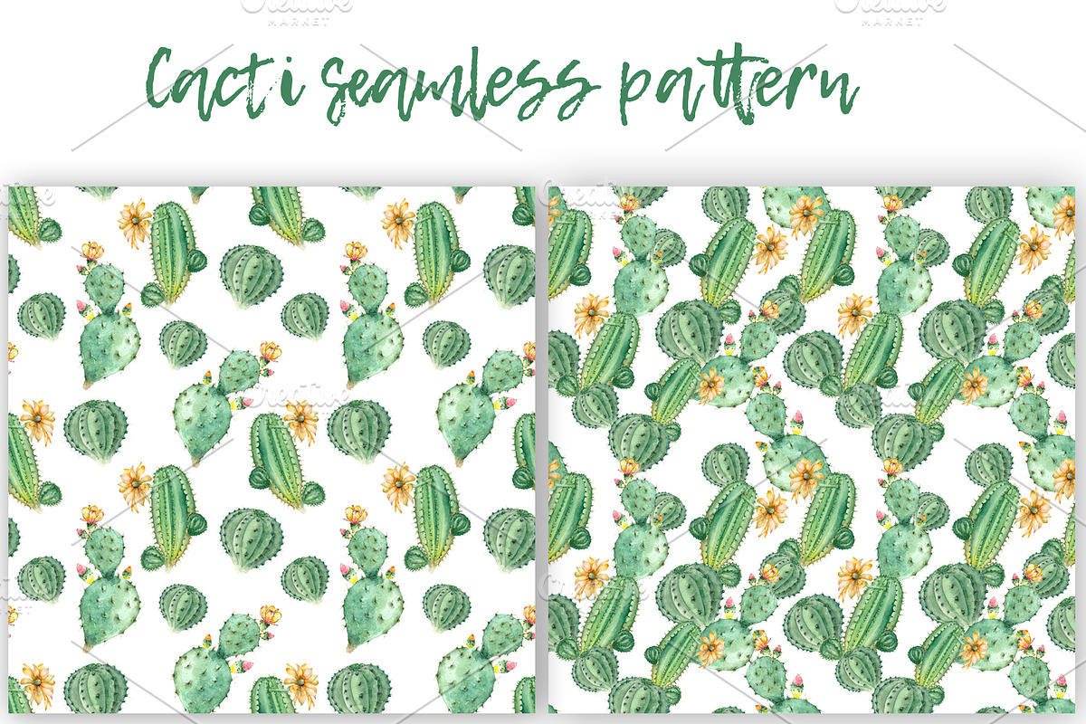 Succulent and Cactus collection, an Illustration by IvanFet (Photo 7 of 10)