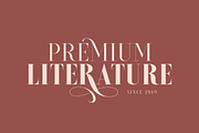 Brioche - (Regular & ExtraBold), a Serif Font by Sarid Ezra (Thumbnail 5 of 6)