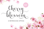 Heydan Script - a stylish fonts, a Script Font by Siwox Studios (Thumbnail 4 of 8)