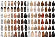1300 hairstyles bundle, an Illustration by Elenbushe (Thumbnail 6 of 10)