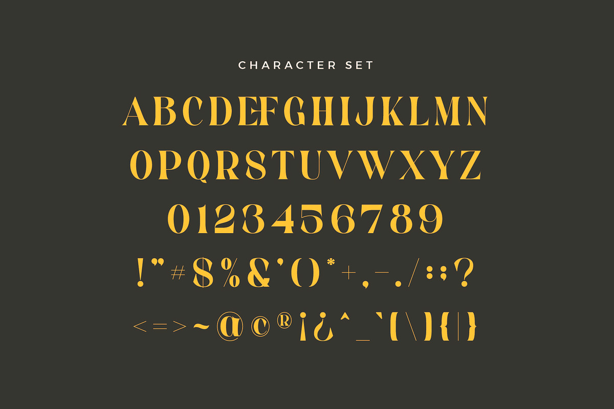 Casson - Display Serif Font, a Serif Font by Aqeel_Art (Photo 8 of 9)