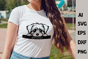Peeking Havanese Dog Puppy Vector, an Animal Illustration by ARTify Illustrations (Thumbnail 3 of 8)
