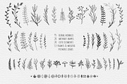 Rustic floral doodles and logos, an Animal Illustration by harmonia_green_art (Thumbnail 2 of 12)