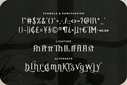 Remily - A Classy Serif Font, a Serif Font by Typefactoryco (Thumbnail 3 of 10)