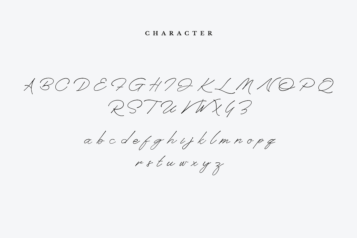 Anaheim script pro font ( update ) preview 4