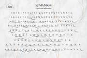 Romanson, a Serif Font by Larin Type Co. (Thumbnail 14 of 14)