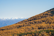 Autumn Landscape Photo Bundle Japan, a Nature Photo by Silent Nature (Thumbnail 1 of 6)