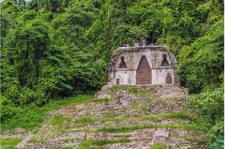 The ancient pyramids of Palenque in, an Architecture Photo by Elizaveta Galitskaya