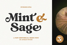 Mint And Sage