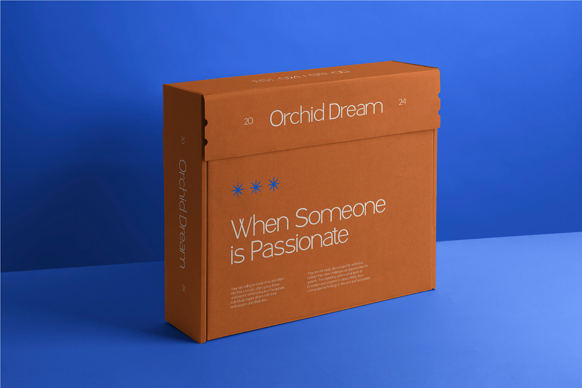 Orchid Dream – Elegant Sans Serif, a Sans Serif Font by Vadovastd (Photo 7 of 7)
