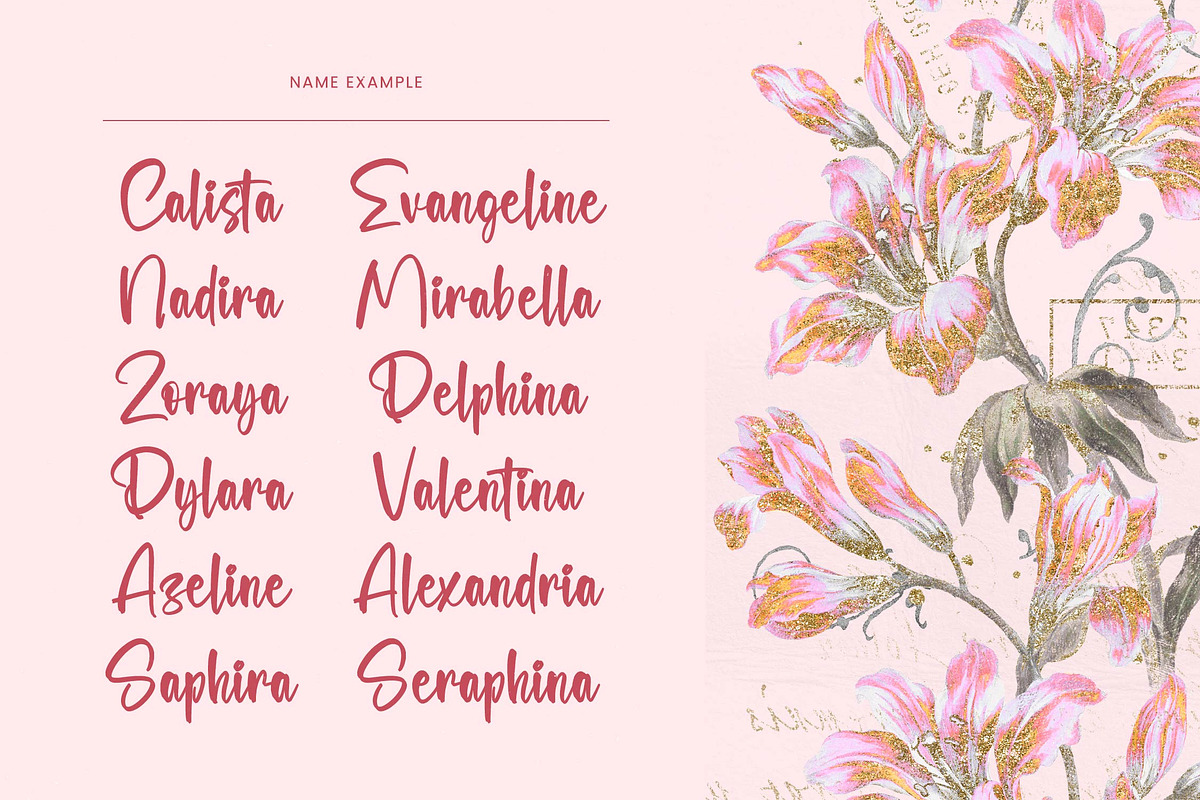 Selynadia Bold Brush Font, a Script Font by stylishtype.co (Photo 7 of 20)