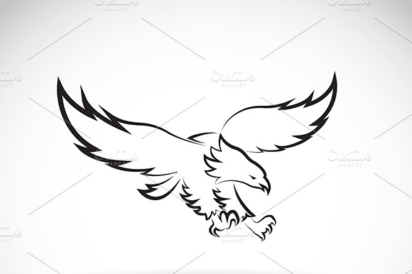 Vector Of An Eagle Design. Animal.