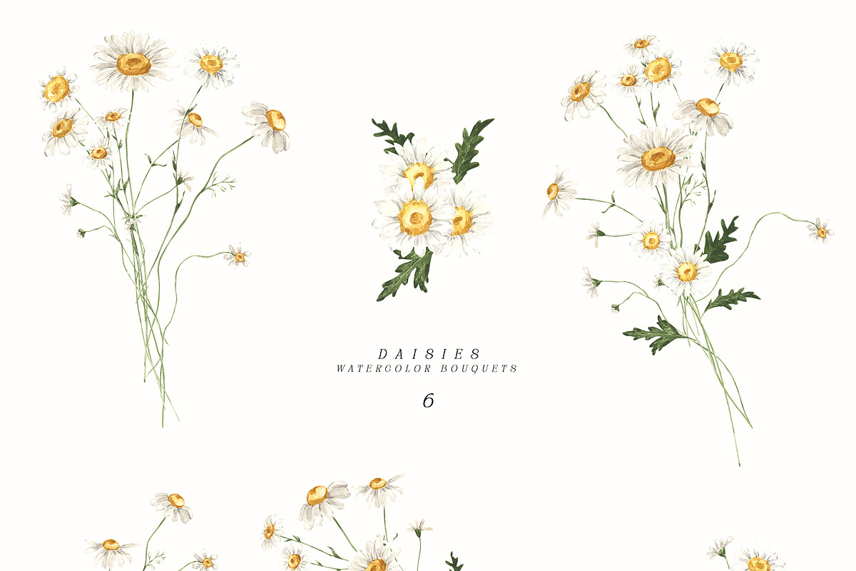 Daisies Watercolor girl, a Person Illustration by LiChu Art (Photo 9 of 13)