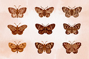 Watercolor Butterflies and Moths, an Object Graphic by Tiger and Flower (Thumbnail 5 of 17)