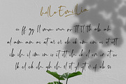 Hello Emillia Script, a Script Font by Rochart (Thumbnail 11 of 12)