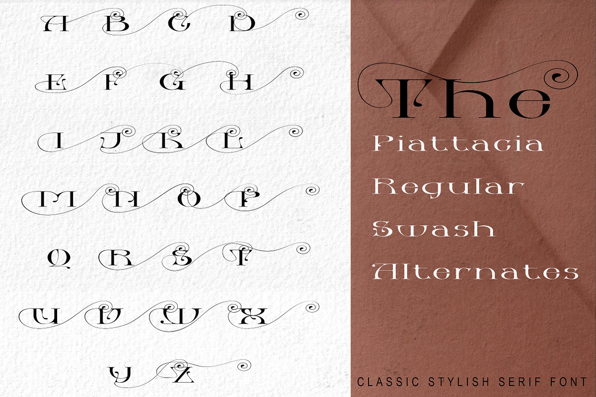 Piattacia font family, a Serif Font by greatypes studio (Photo 8 of 15)