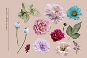 Isolated real flowers clipart set, an Object Graphic by The Graphic Parade (Thumbnail 3 of 14)