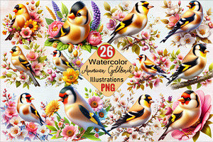 Spring American Goldfinch Bird Subli, an Illustration by SVGArt