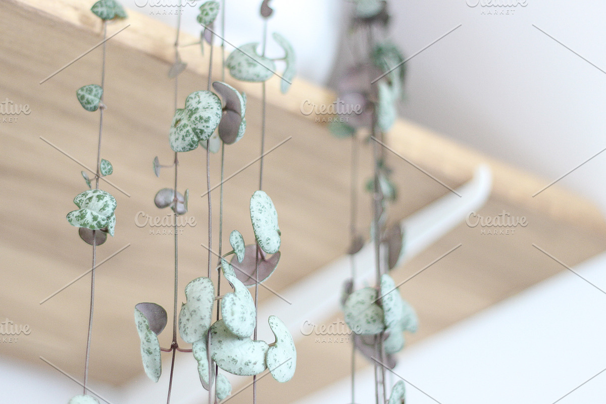 Neutral Collection | Styled Stock, a Business Photo by Chalking Up Stock (Photo 4 of 25)