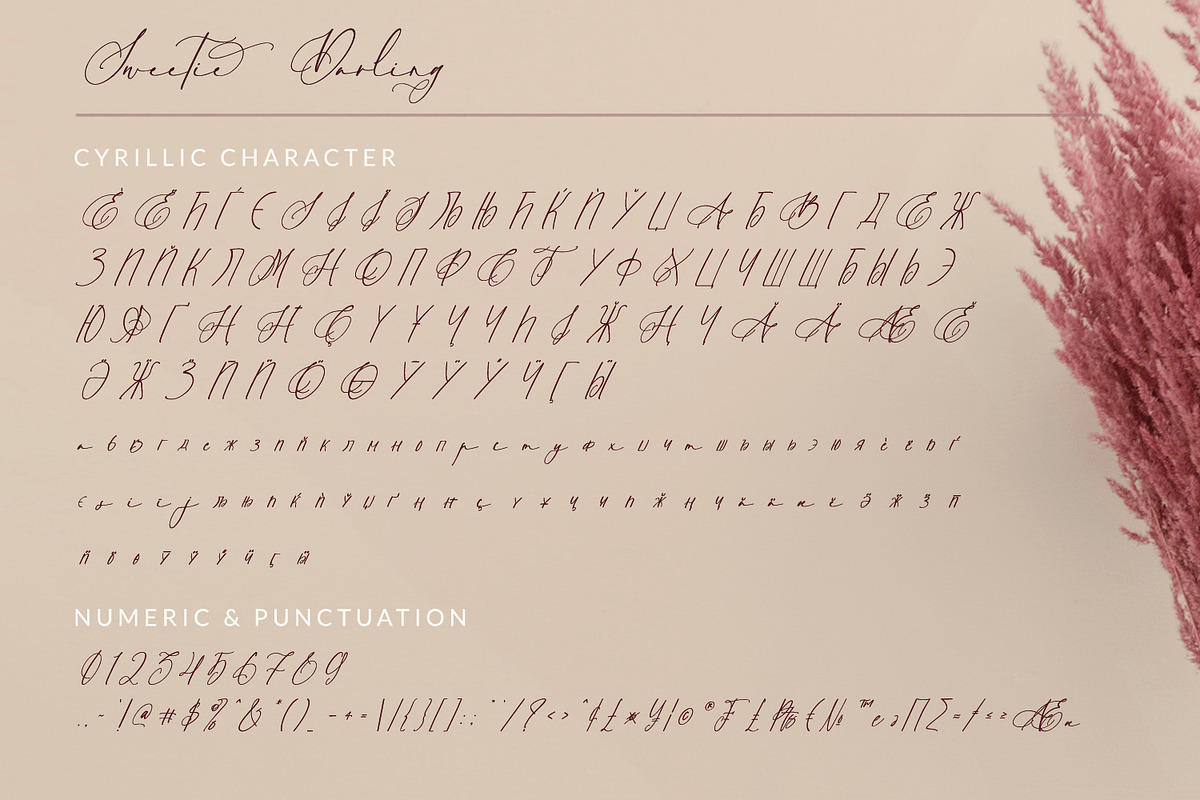 Sweetie Darling, a Script Font by Nathatype (Photo 10 of 11)