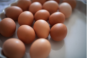 Fresh brown eggs in porcelain bowl, a Food & Drink Photo by HalfPoint