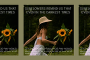 Thelion - Elegant Serif Font, a Serif Font by roomspace creative lab (Thumbnail 3 of 12)