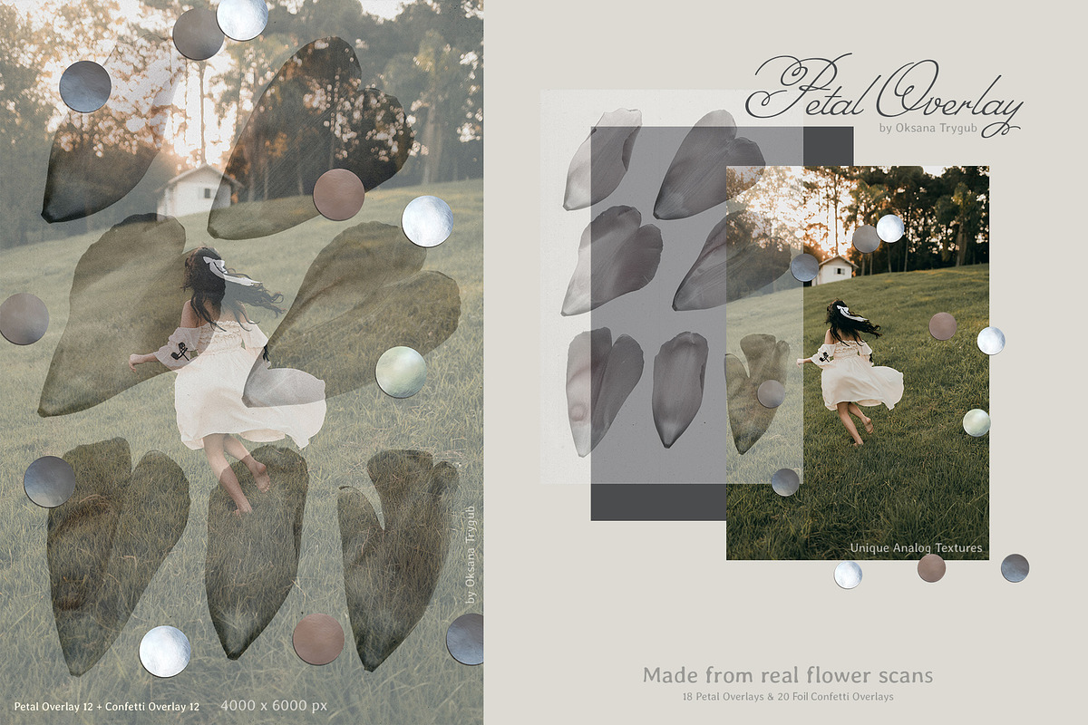 Flower Petal Textures & Foil Overlay, a Texture Graphic by Oksana Trygub (Photo 10 of 28)
