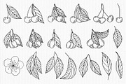Cherry Blossom Line Art, a Seasonal Illustration by Iryna Mel (Thumbnail 3 of 10)
