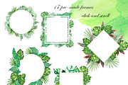 Watercolor jungle set, an Illustration by Watercolor & sketches (Thumbnail 7 of 13)