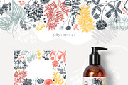 Adaptogenic & Medicinal Plants Set, a Healthcare Illustration by Yevheniia (Thumbnail 5 of 9)