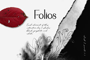 Folios. Botanical illustrations, an Object Illustration by Colden Blue (Thumbnail 6 of 13)