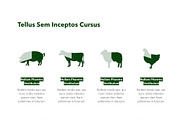 Farming Keynote Template, a Presentation Template by Jumsoft (Thumbnail 7 of 21)