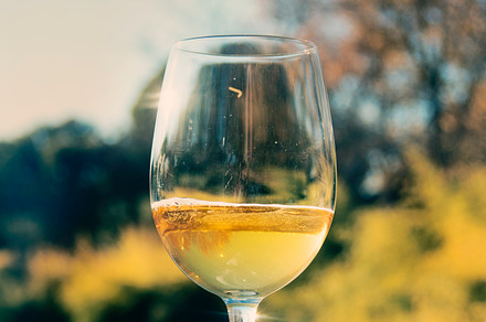 Glass of white wine wooded landscap stock photo containing wine and glass, a Food & Drink Photo by SZ IMAGE