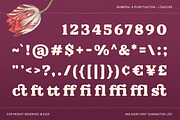 Nolkair - Bold Swashes Retro Serif, a Serif Font by Typia Nesia (Thumbnail 3 of 15)