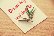 Barberry Font + Extras, a Handwritten Font by Carola-Corujan (Thumbnail 3 of 7)