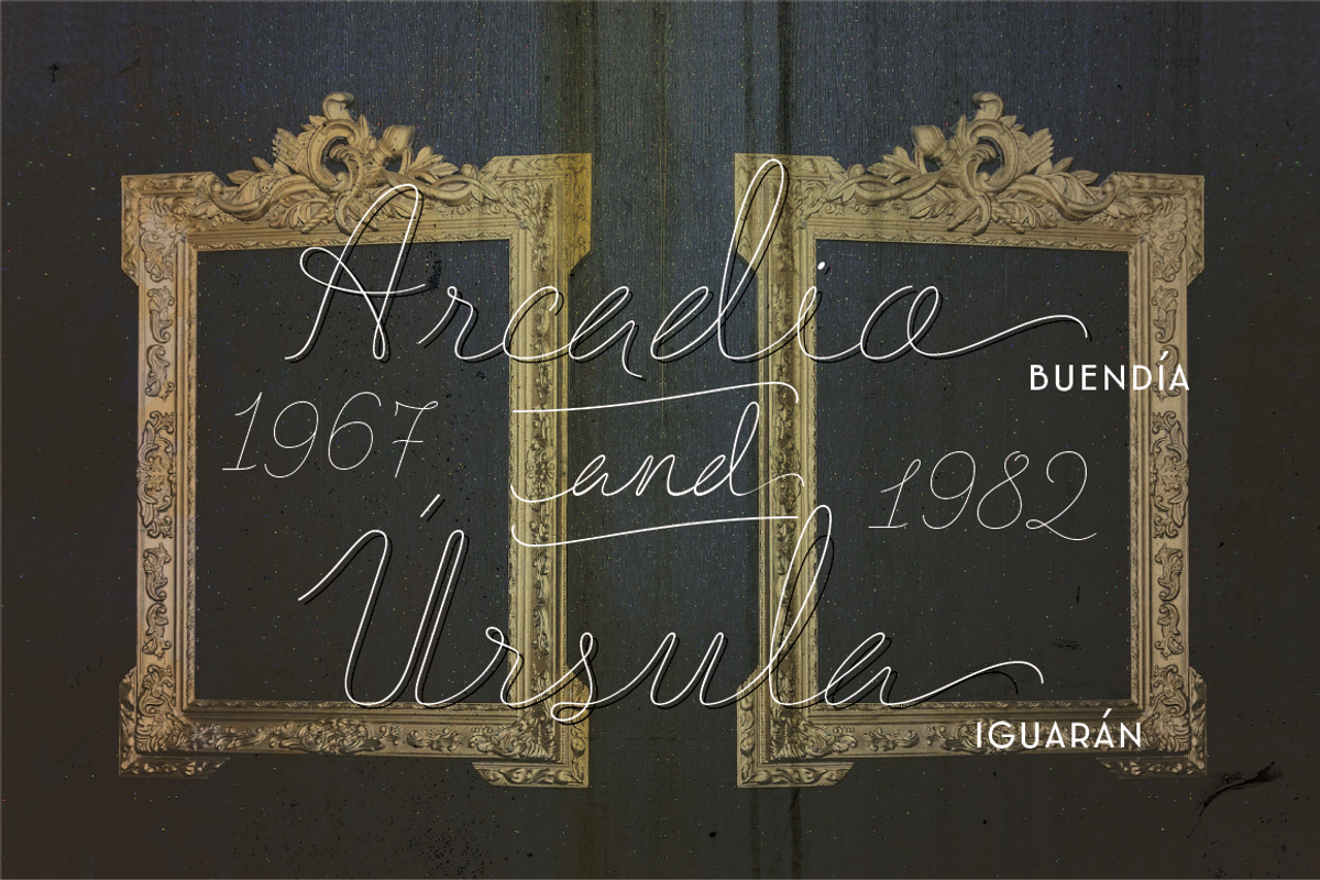 BLACK FRIDAY Delirio Font Family, a Script Font by graffistyling (Photo 4 of 20)