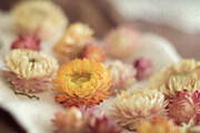 Golden Stock Photo Photo Bundle, a Business Photo by Savvy Stock Shop (Thumbnail 8 of 11)