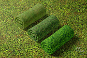 Seamless Ground Textures-Green Grass, a Texture Graphic by Arthitecture Home (Thumbnail 9 of 11)
