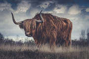 300 Professional Lightroom Presets, an Action Add-On by Madison Colt Studios (Thumbnail 26 of 29)