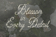 Petalia Decorative Floral Font, a Script Font by AnMark (Thumbnail 5 of 11)