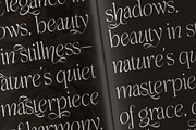 Enlighten - Aesthetic Serif Font, a Serif Font by Inviline.co (Thumbnail 9 of 16)