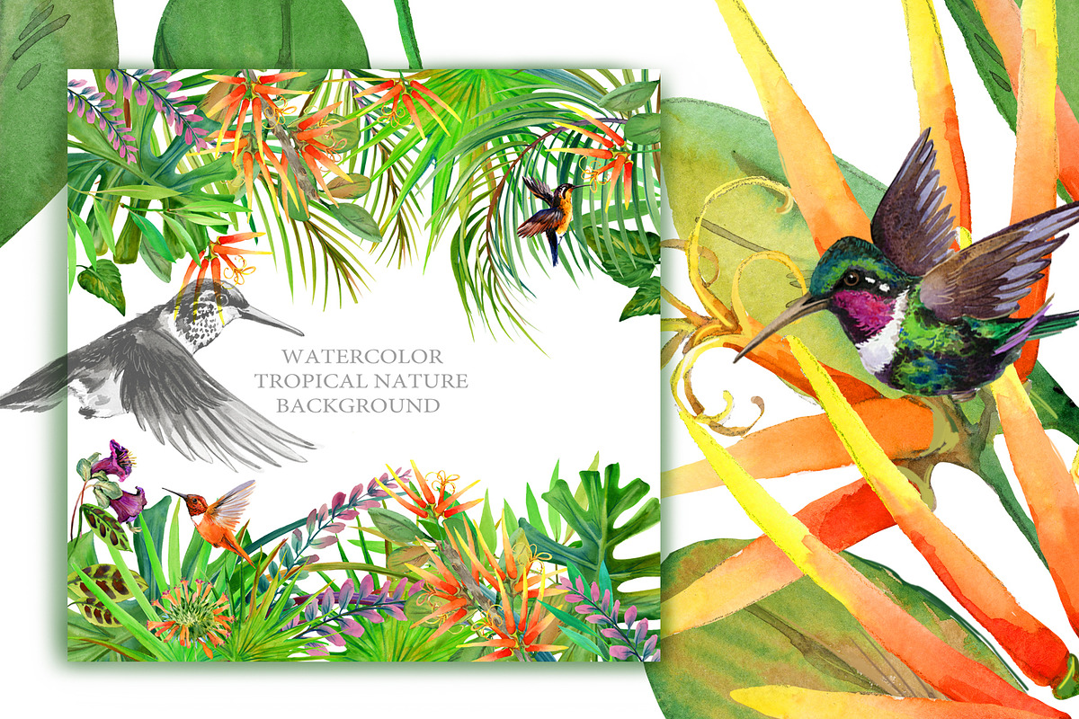 Watercolor Tropical plant & Bird, an Object Graphic by FineArt (Photo 15 of 22)