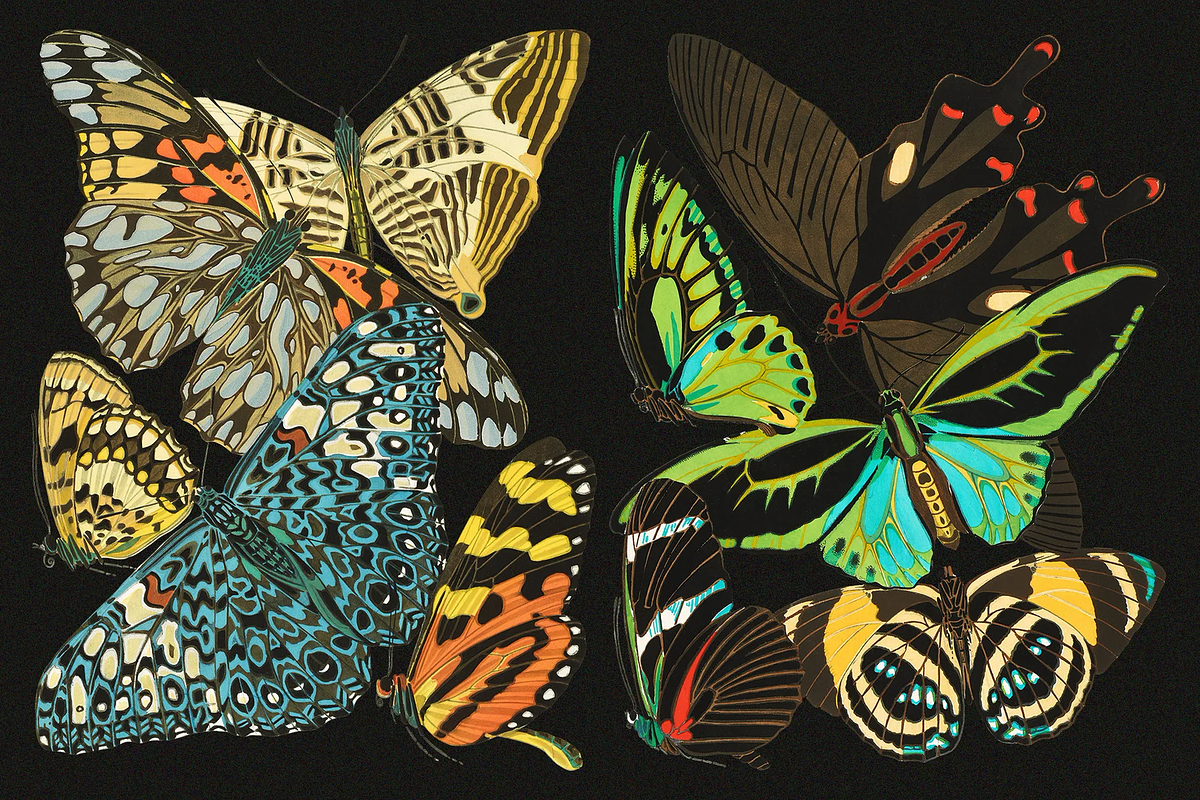 E.A. Séguy HQ Clipart Bundle, an Animal Illustration by Digital Museum (Photo 5 of 10)